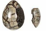 7.6" Septarian "Dragon Egg" Geode - Removable Section - #199993-2